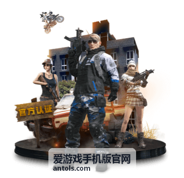 爱游戏手机版官网 站位与出手顺序搭配要点配图